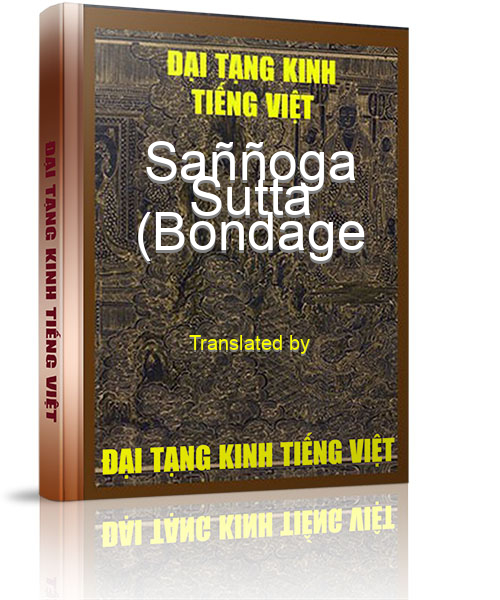 Đại Tạng Kinh Việt Nam